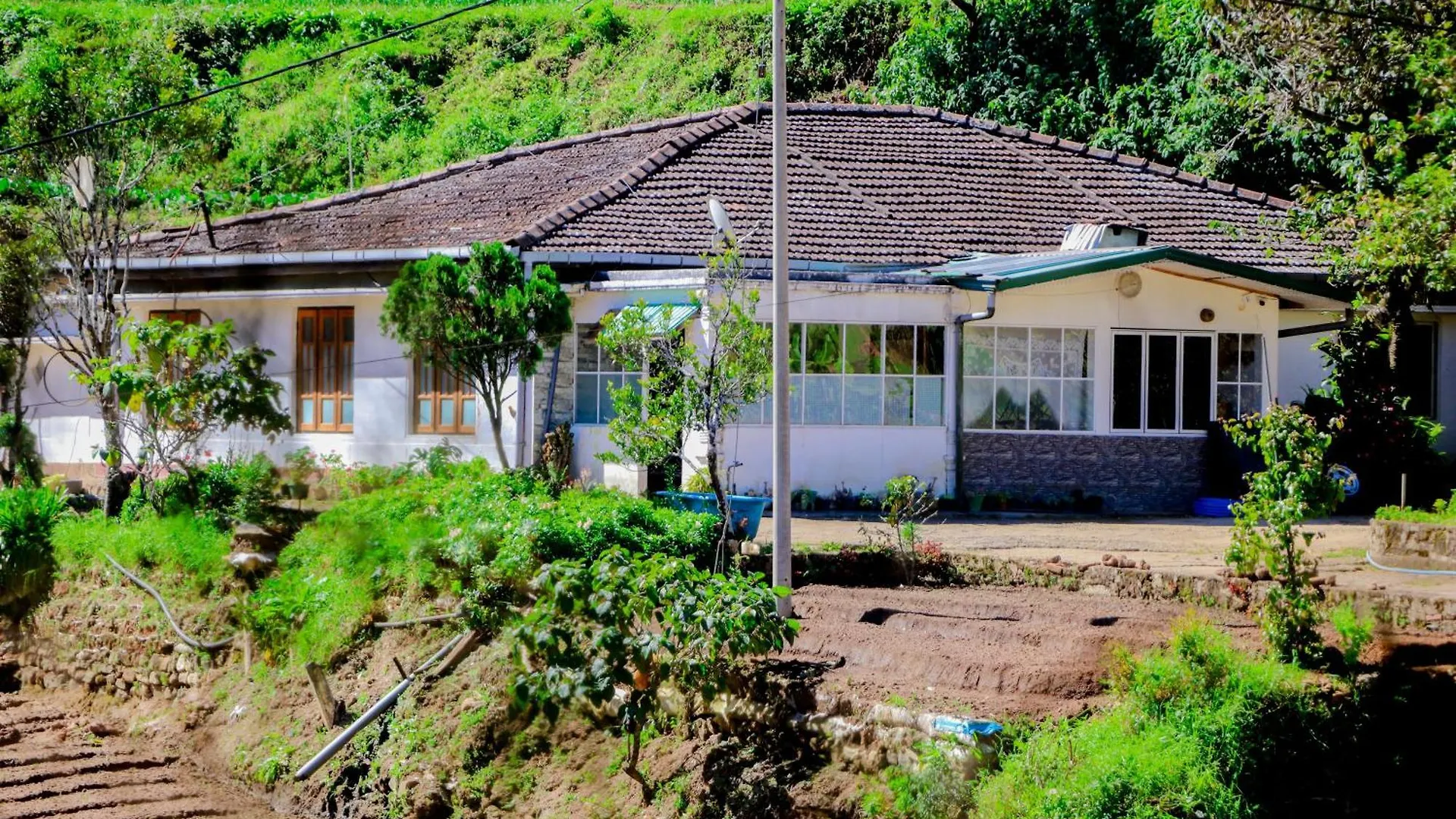 St Elmo Homestay contacts